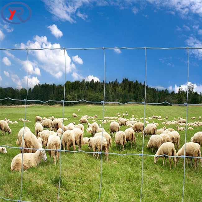 Cercado de campo / Valla de alambre para ganado